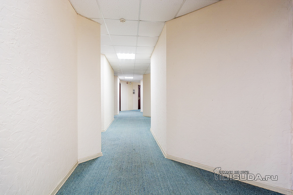 B699338ed447f3c3b50cf2c4fed9df16