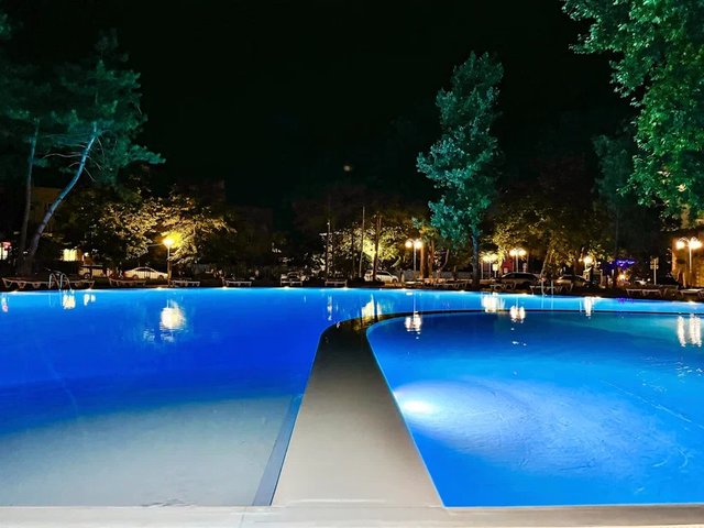 513094b9c8d8479d8dfca6de4d951364