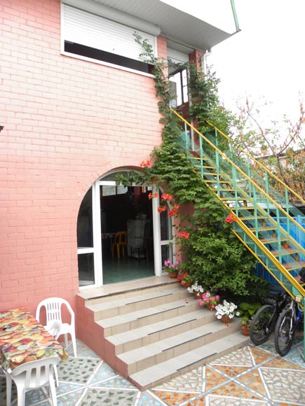 натали-и-роза4