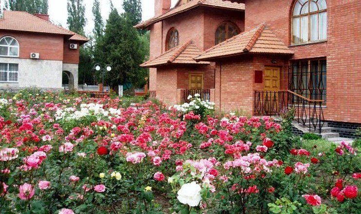 F019ee382aca065f83ace00cf18cee72